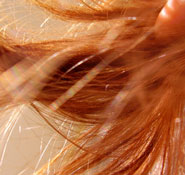 Softer, Shinier Hair!